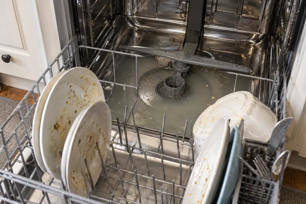 Cloudy water around a dishwasher filter beneath dirty dishes in the lower rack