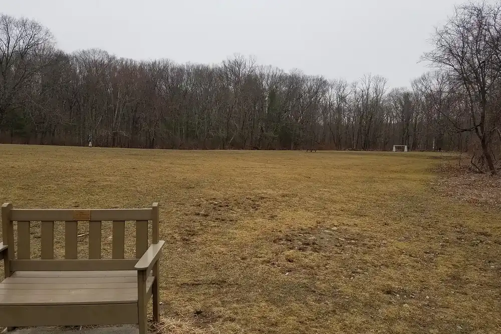 An open athletic field with a wooden bench at the Great Hill conservation land in Acton