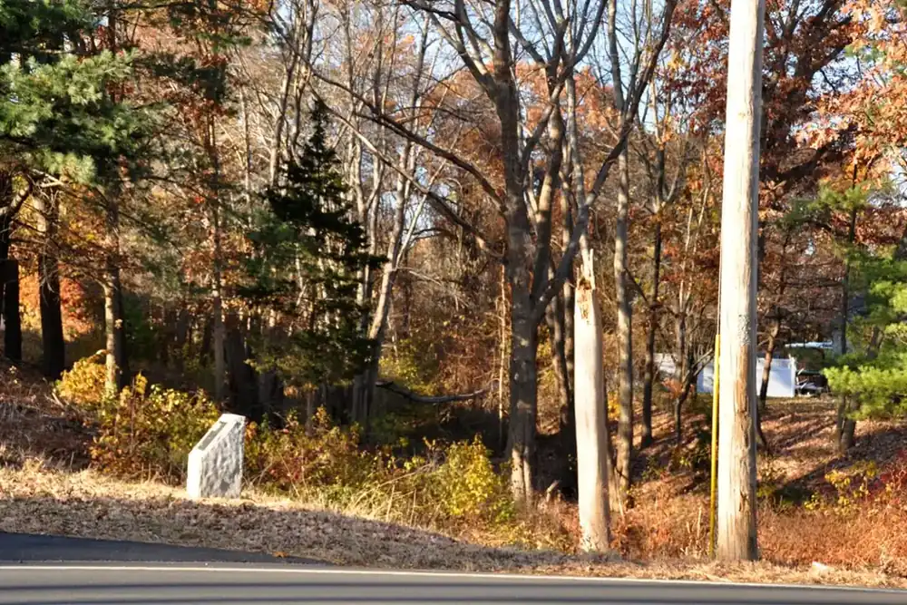 Wooded roadside with autumn trees and a utility pole in Chelmsford