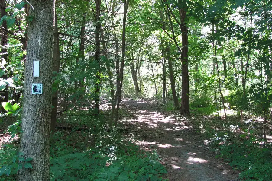 A shaded woodland path on the Bay Circuit Trail near Monument Street in Concord