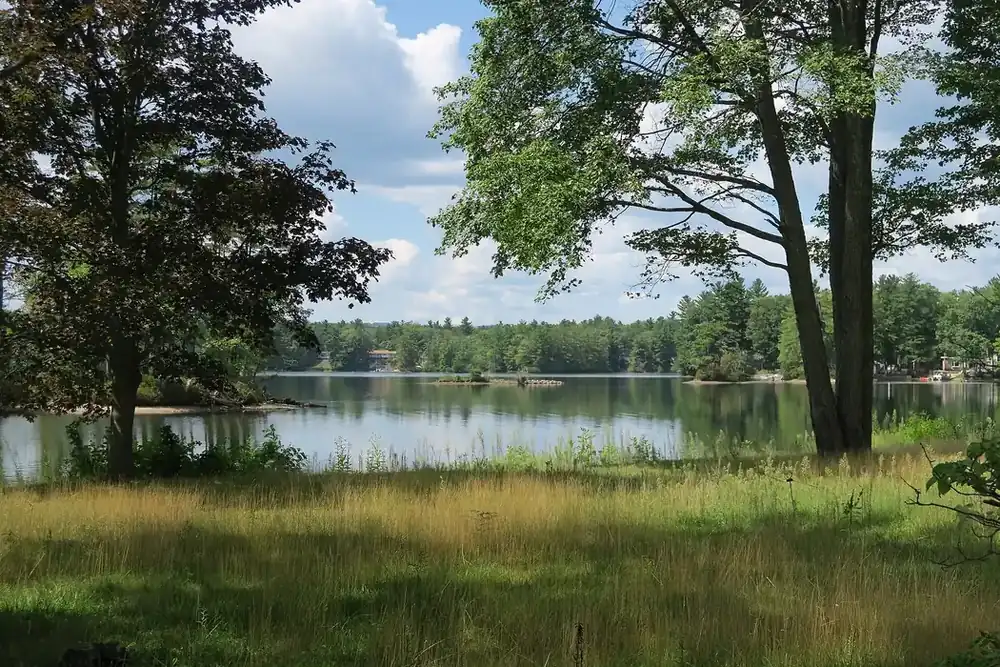 Hickory Hills Lake framed by trees and a grassy shore in Lunenburg, Massachusetts
