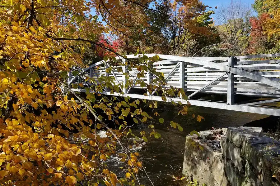 A white rail trail footbridge among bright autumn leaves in downtown Maynard, Massachusetts